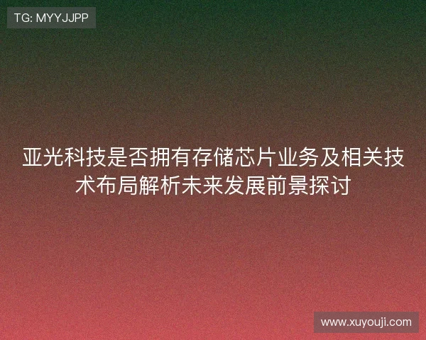 亚光科技是否拥有存储芯片业务及相关技术布局解析未来发展前景探讨